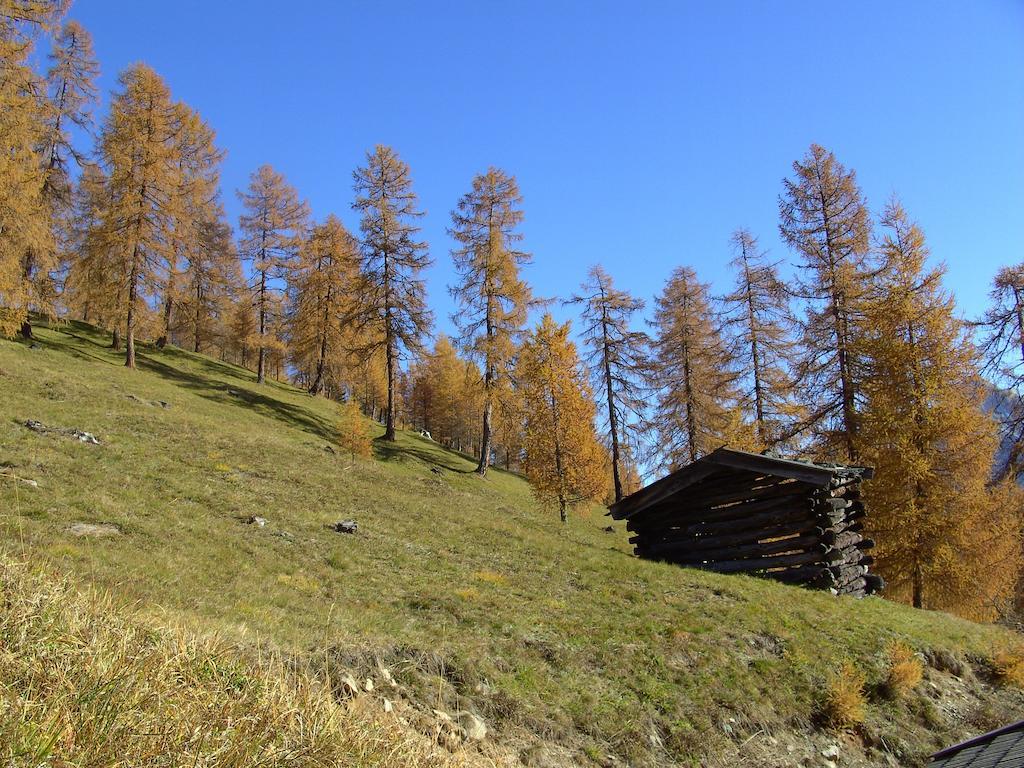 Ferienwohnung Haas Maria Neustift im Stubaital Exteriér fotografie