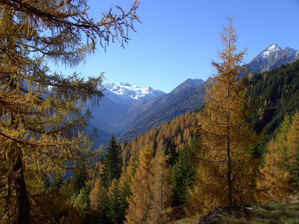Ferienwohnung Haas Maria Neustift im Stubaital Exteriér fotografie