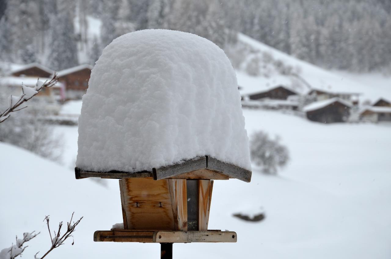 Ferienwohnung Haas Maria Neustift im Stubaital Exteriér fotografie
